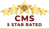 CMS Logo